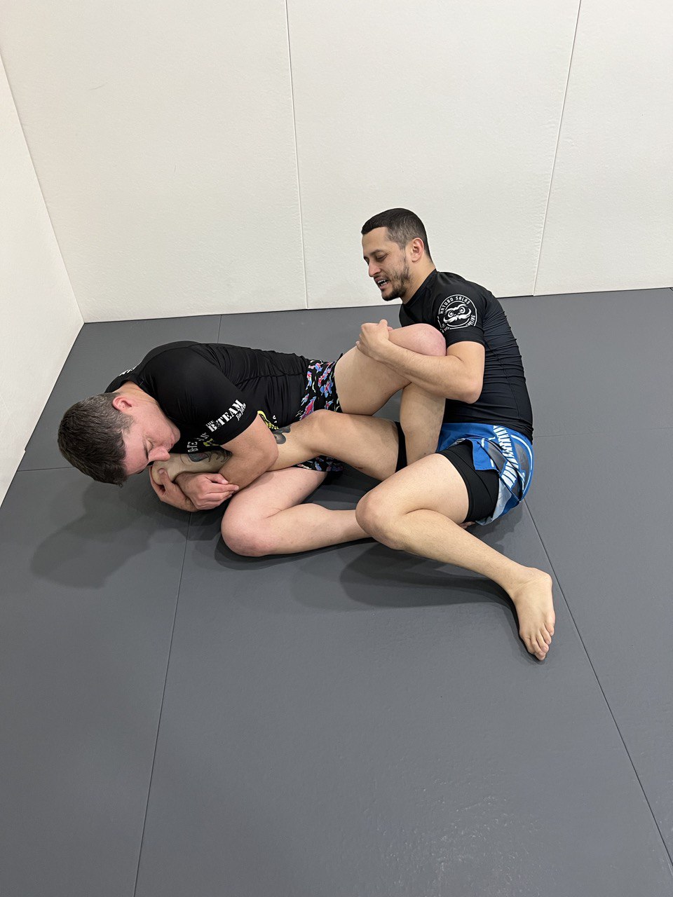 grappling colmenar viejo